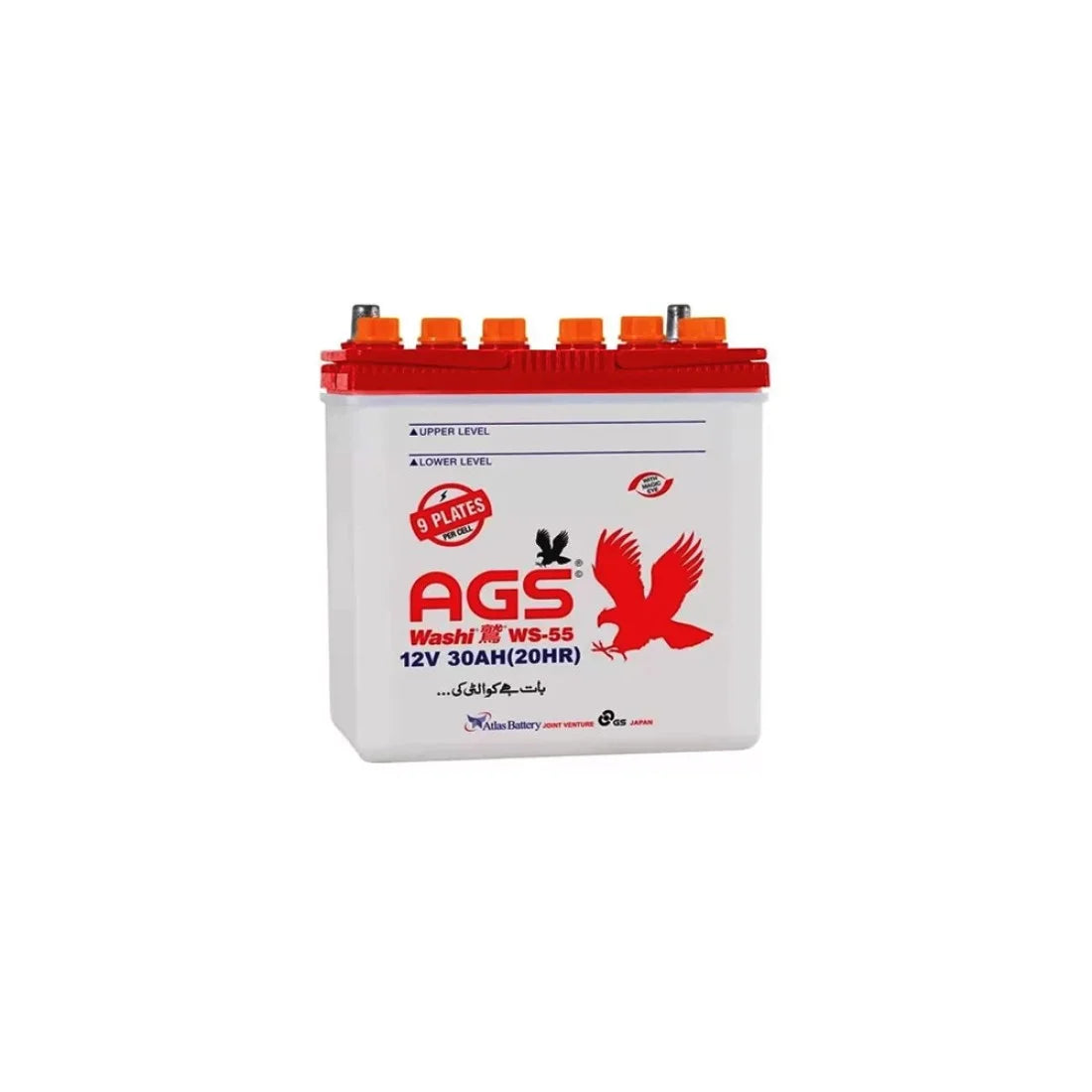 AGS WS-55 9PL 30AH Lead Acid Battery
